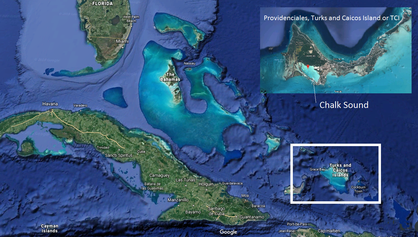 Google Maps Combined Satellite Images of the Bahamian Archipelago that Includes the Islands of TCI