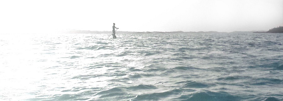 © Man and His Dog Chalk Sound Paddle Boarding by MIna Thevenin