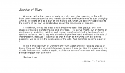 Shades of Blues by Mina Thevenin