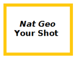 Nat Geo Your Shot Icon