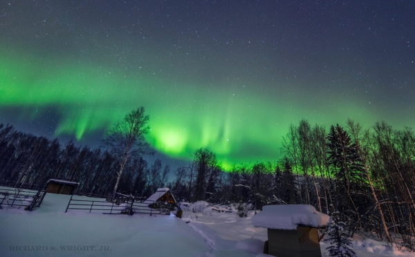 AURORA BOREALIS & TUNDRA SWANS: Under the Northern Lights - PHOTOGRAPHY ...