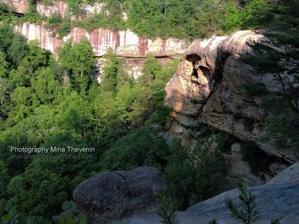 © Frog's Head. Red River Gorge Park. Photograph by Mina Thevenin. Photography World. www.photographyworld.org