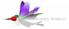 © Hummingbird and Photography World TM. www.photographyworld.org