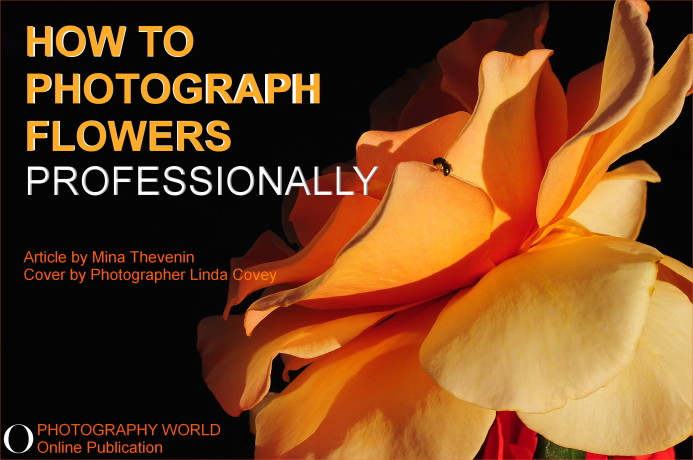 Mina Thevenin—Owner, Executive Editor, Writer & Photographer—of PHOTOGRAPHY WORLD, LTD CO