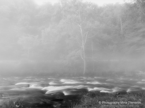 © Nantahala River. B&W Photography Mina Thevenin. PHOTOGRAPHY WORLD @photogrpahyworld.org