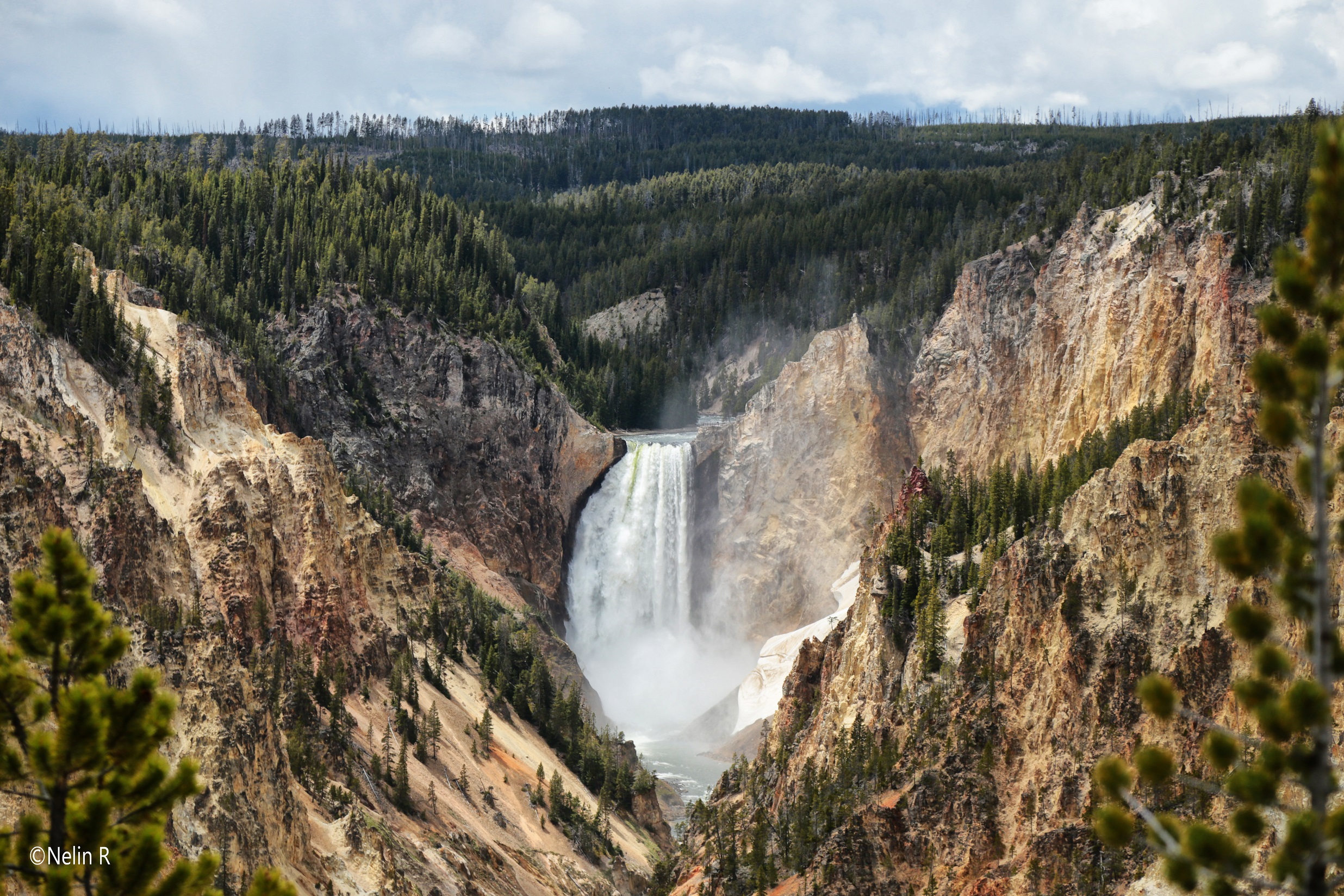 © Artist Point Yellowstone. Nelin Reisman Photoraphy@ Photogrpahy World 